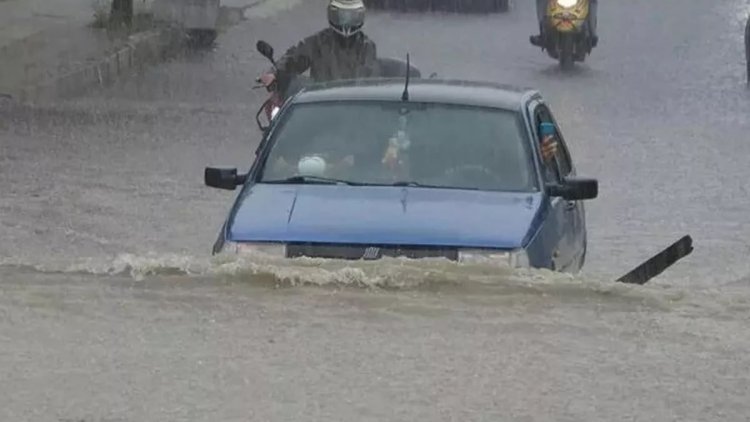 Keşnasiya Herêma Kurdistanê: Baran berdewam dibe
