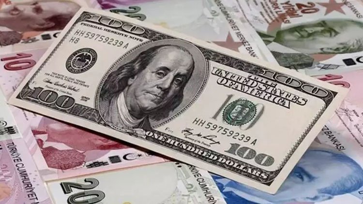 IMF'den Türkiye için enflasyon tahmini: 'Dolar 99 TL'yi aşabilir'