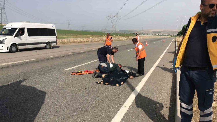 Batman'da acı kaza: Otomobilin çarptığı çoban, hayatını kaybetti