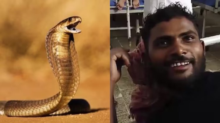Kendisini sokan yılanı 2 kez ısırarak öldürdü
