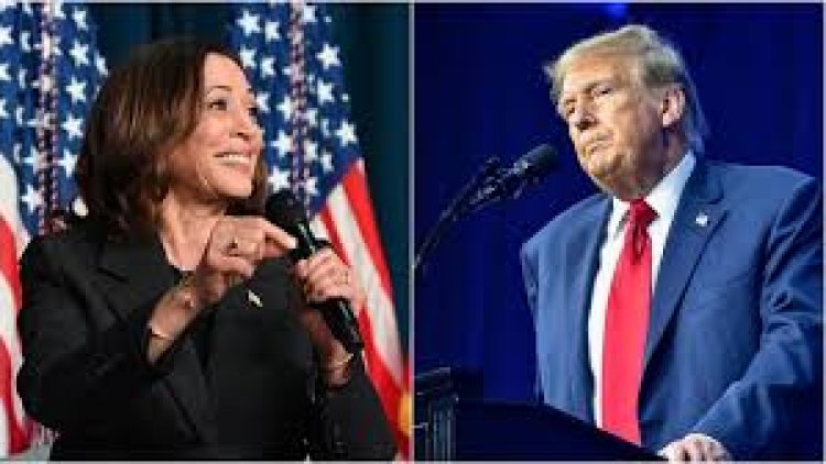 ABD seçimleri: Anketlerde Kamala Harris öne geçti