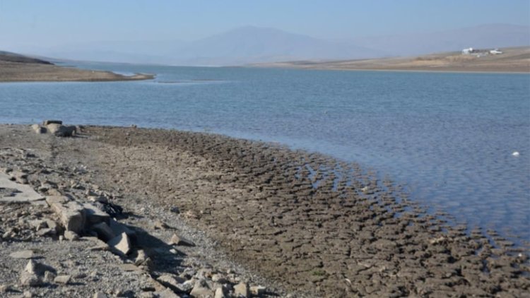 Muş'ta feci olay: Baraja giren 5 kişi boğuldu!