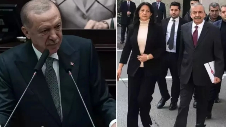 Erdoğan-DEM Parti görüşmesinin detayları belli oldu