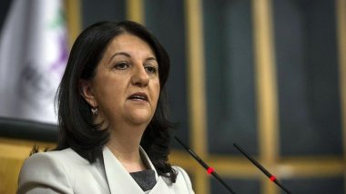 Bahçeli’nin Meclis’te komisyon kurulması çıkışına DEM Parti’den destek