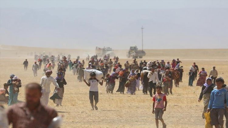 Li Swîsreyê 80 hezar îmze ji bo nasandina komkujiya li dijî Kurdên Êzidî hat komkirin