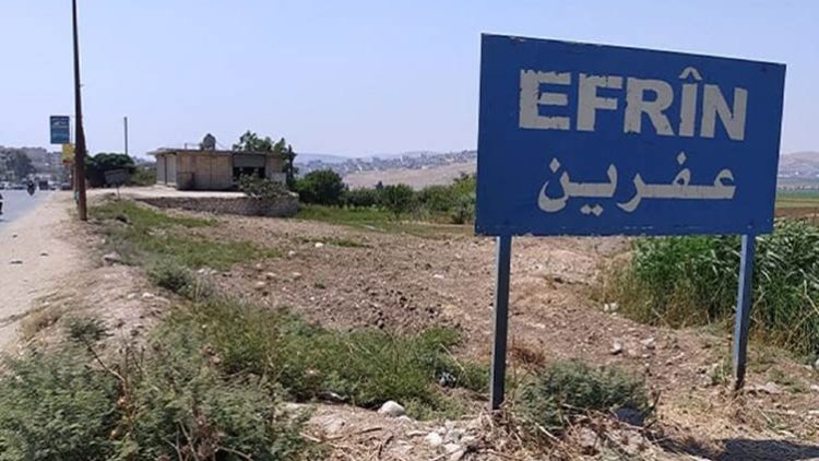 Efrîn: Komên çekdar 70 dar birrîn û 7 xanî firotin