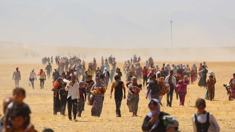 ‘120 hezar Êzidiyan ji Iraq û Herêma Kurdistanê koç kiriye’