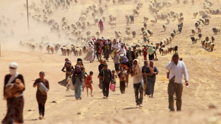 Şêwirmendê Sûdanî: 2600 Êzidî hîn winda ne û çarenivîsa wan ne diyar e