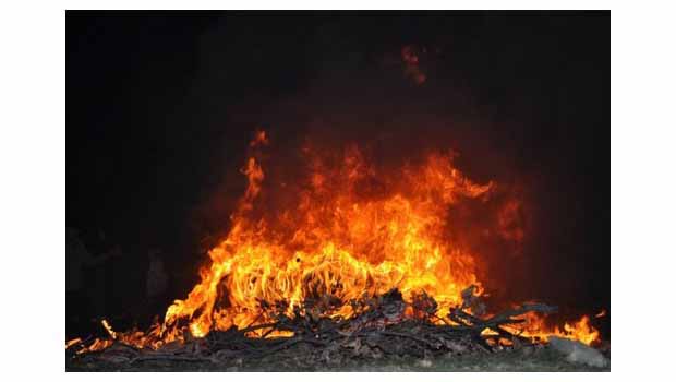 2014'ün ilk Newroz ateşi Doğubayazıt'ta yandı