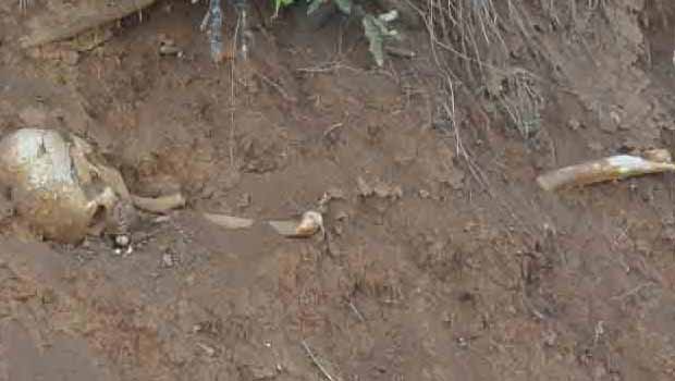 Mutki'de bir toplu mezar daha bulundu