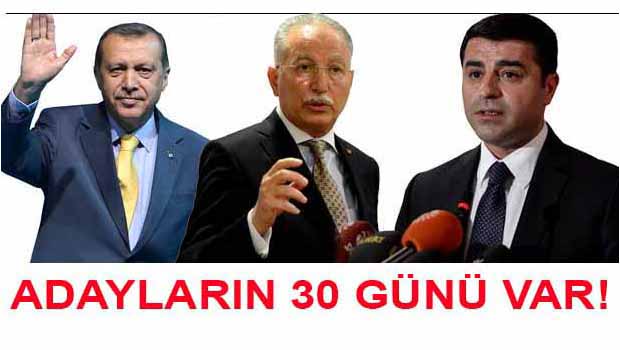 Cumhurbaşkanı adaylarının 30 günü var