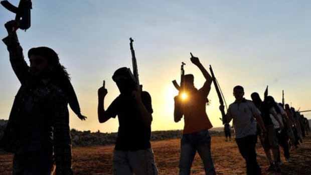 Daily Telegraph: Türkiye IŞİD'le mücadeleye ne zaman katılacak?