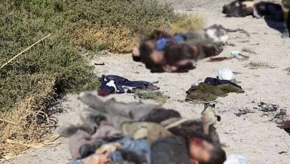 IŞİD Şengal’den kaçan 80 savaşçısını öldürdü