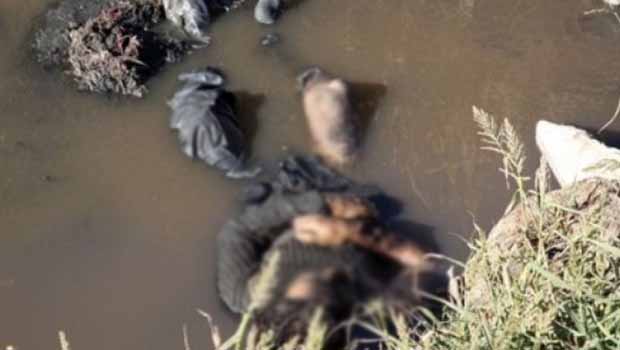 Kerkük-Selahaddin yolunda 120 IŞİD’linin cesedi bulundu