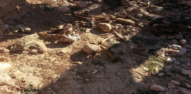 Ezidi Kürtlerine  ait toplu mezar bulundu