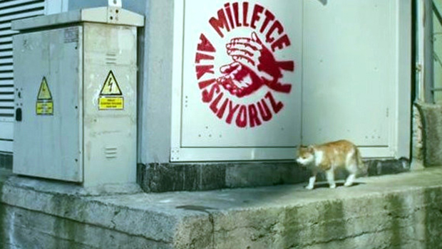 CHP'nin İlk Kampanya Filminde Kedi ve Trafo Göndermesi