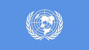  BM’den MİT TIR'ları açıklaması 