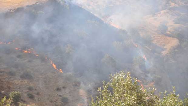 Cudi Dağı’nda yangın söndürme çalışmaları devam ediyor