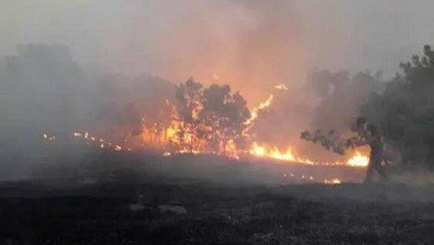 Güney Kürdistan'da TSK yangını