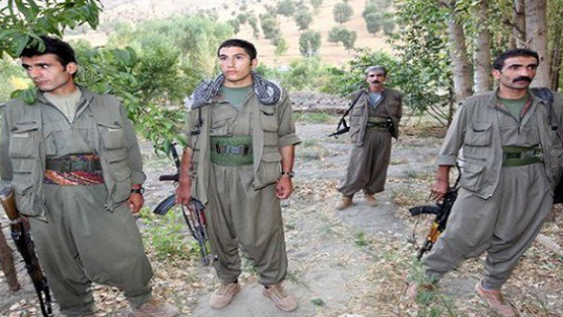 Nazim Bekîr: PKK, Zergelê Köyü Muhtarı ve 2 sivili alıkoydu