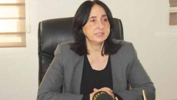 Nursel Aydoğan: Kürt Halkı Kendi Kendini Yönetmek İstiyor