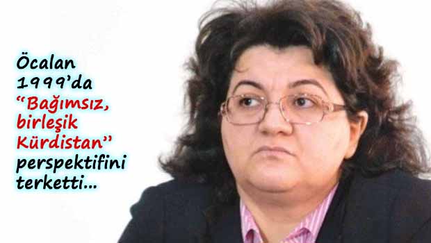 Emine Ayna: Öcalan'dan dolayı siyasi lince uğradım