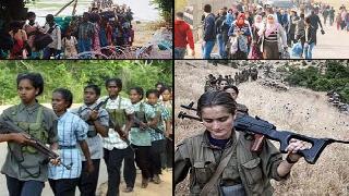 Sri Lanka-Türkiye, Tamil Kaplanları-PKK benzerlikler ve farklılıklar