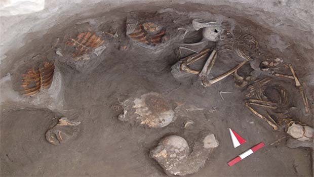 Kuzey Kürdistan'da kaplumbağalarla gömülmüş 2 Bin 500 yıllık mezar bulundu