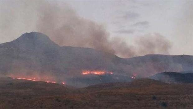 Bitlis'te orman yangını
