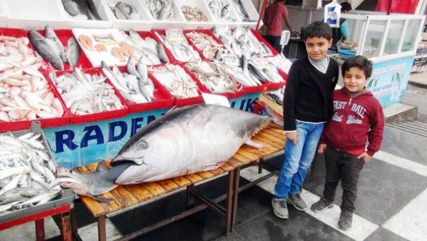 Urfa’da 122 kiloluk balık görenleri şaşırttı
