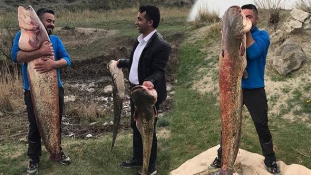 Ağrı'da amatör balıkçı boyundan büyük balık yakaladı