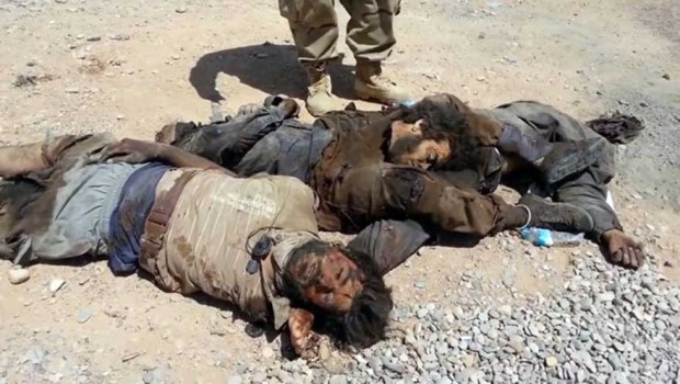 QSD, 76 IŞİD'liyi ölü ele geçirdi