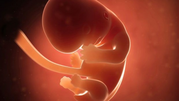 ABD'de ilk kez insan geni embriyosu değiştirildi