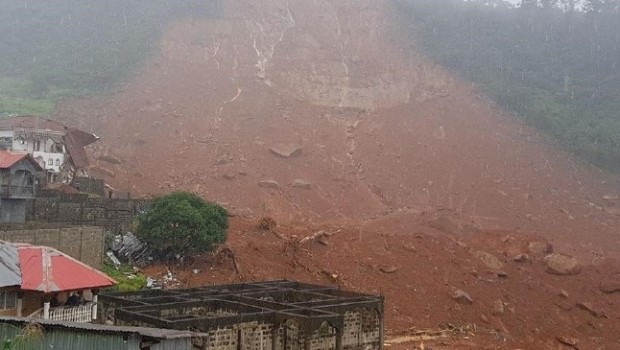 Sierra Leone'de toprak kayması: 180 ölü