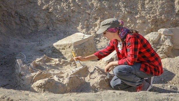 Van'da 2 bin 800 yıllık at iskeleti bulundu