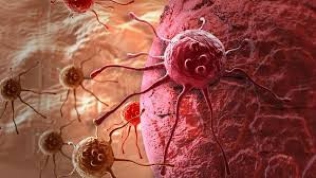 Rus bilimciler kanser hücrelerini 'aç bırakarak' yok ettiler'