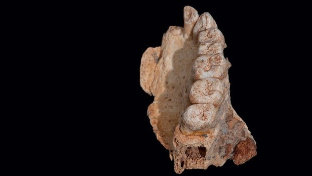 Afrika Dışındaki Bilinen En Eski Modern İnsan Fosili Bulundu