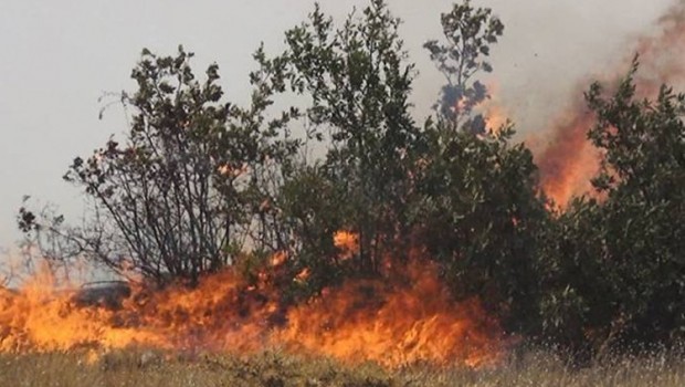 Dersim’den sonra Bingöl: Yangın söndürmeye 'yasaklı bölge' engeli