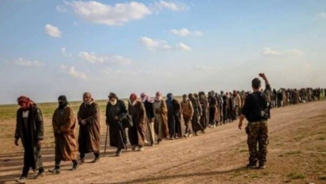 Peşmerge Komutanı uyardı: Baxoz'dan kaçan IŞİD'liler Şengal’e geçiriliyor