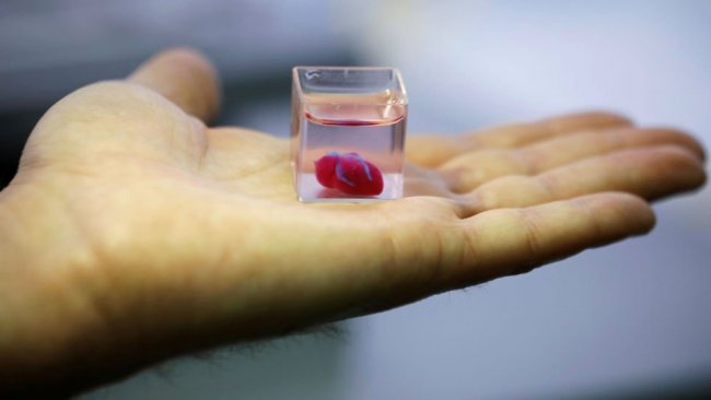 Bilim dünyasında bir ilk: Gerçeğe en yakın kalp üretildi