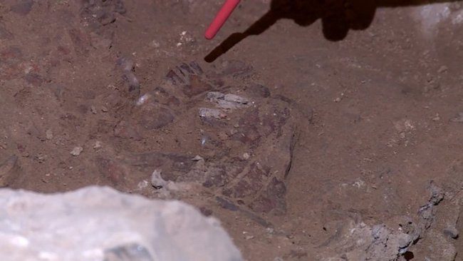 Kürdistan’daki Neandertal mezarına ait yeni bulgular