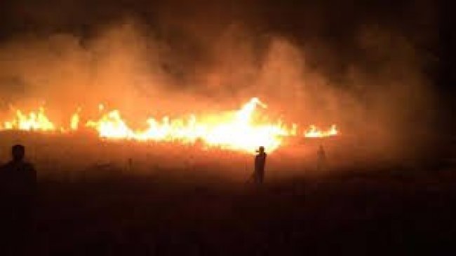 Kürdistani bölgelerde çıkan tarla yangınlarında 15 çiftçi hayatını kaybetti