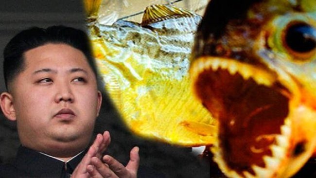 Kim Jong-un hakkında kan donduran iddia: Pirana dolu su tankına attı