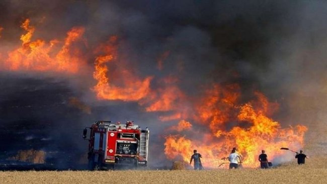 Şengal’de tarla yangınları can aldı