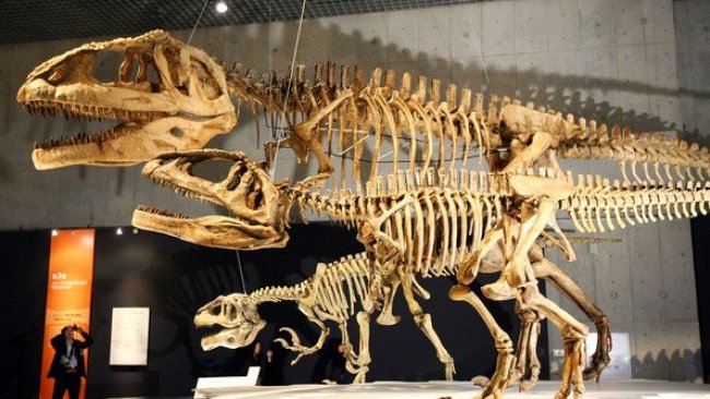 Bilim insanları dinozorların yok olmasının asıl nedenini açıkladı