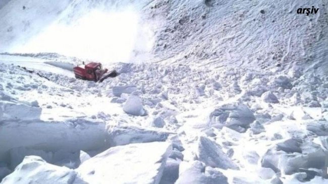 Van'da bir çığ daha düştü