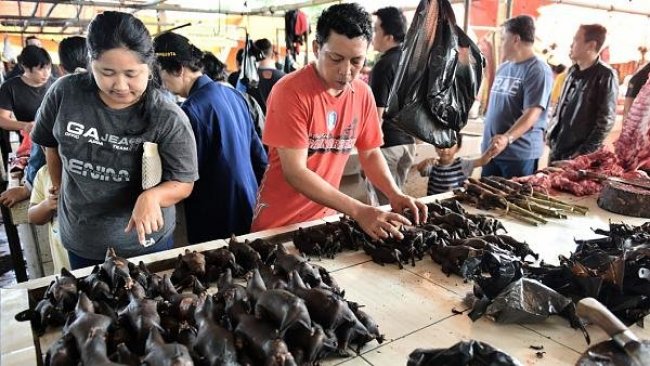 Çin'de vahşi hayvan pazarları tekrar açıldı