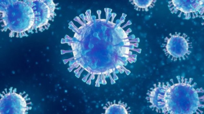 Bilim insanları harita çıkardı: İşte koronavirüsün sekiz ayrı alt türü