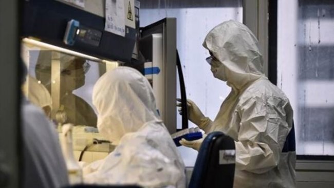 İsrail'de kök hücre tedavisi gören koronavirüs hastalarının tamamı iyileşti