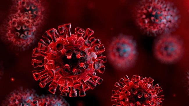 Harvardlı araştırmacılardan koronavirüs için 'en kötü senaryo'